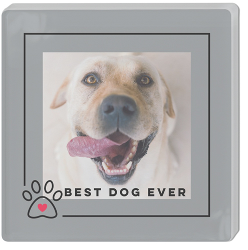 Best In Show Best Dog Ever Acrylic Magnet, 3x3, Gray