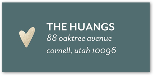 Our New Addition Address Label, Blue, Address Label, Matte, Teal