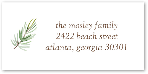 Little Pine Address Label, White, Address Label, Matte