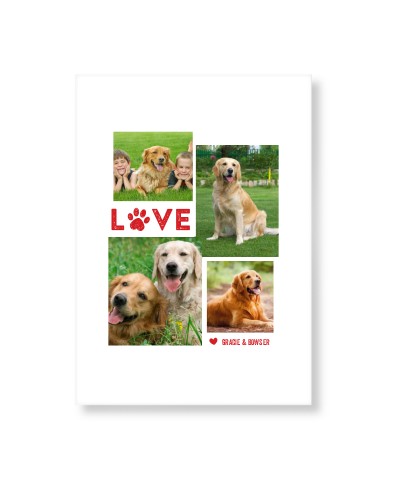 Pet Love Art Print