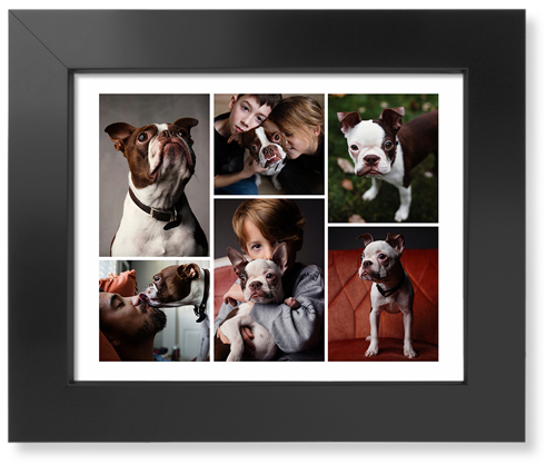 Gallery of Six Art Print, Black, Signature Card Stock, 8x10, Multicolor, multi