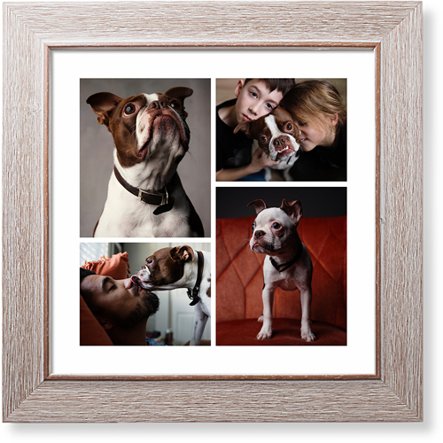 Gallery of Six Art Print, Rustic, Multicolor, Signature Card Stock, 12x12