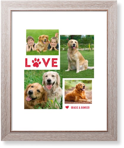 Pet Wall Decor