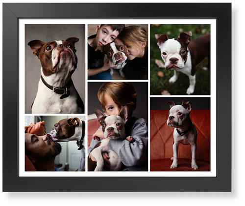 Gallery of Six Art Print, Black, Signature Card Stock, 16x20, Multicolor, multi