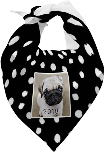 Pet bandana shutterfly best sale