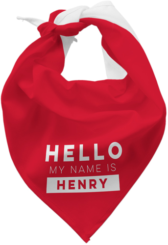 Best in Show Hello My Name Is Bandana