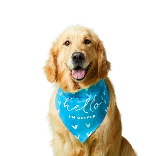 custom dog bandanas