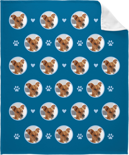 Shutterfly dog blanket new arrivals