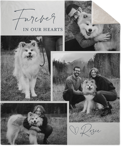 Pet Art Gifts
