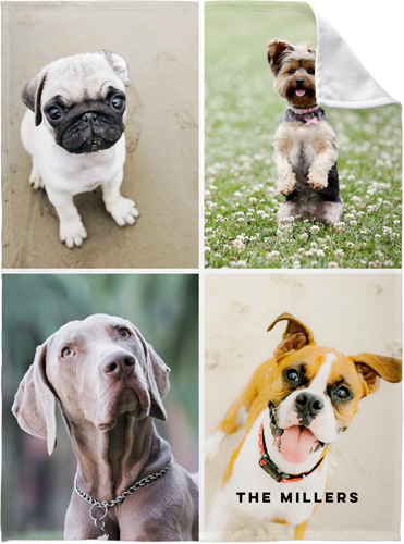 Shutterfly store dog collars