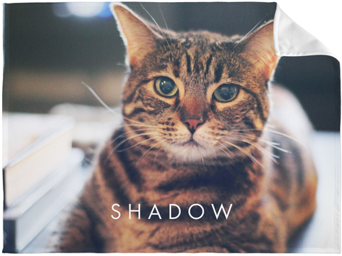 Pets Photo Gallery Horizontal Fleece Photo Blanket, Fleece, 60x80, Multicolor, multi