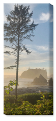 Photo Gallery Pano Portrait