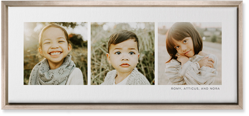 Three Of A Kind Wall Art, Metallic, Single piece, Canvas, 10x24, Multicolor