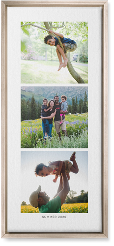 Three of a Kind Portrait Wall Art, Metallic, Single piece, Canvas, 10x24, Multicolor, multi