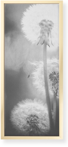 Dandelions Wall Art, Gold, Single piece, Canvas, 10x24, Multicolor