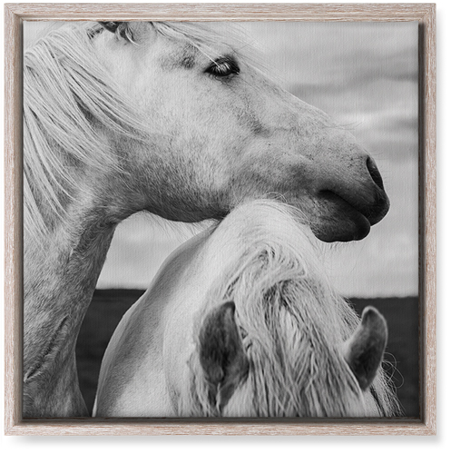 Black and White Horses Wall Art, Rustic, Single piece, Canvas, 16x16, Multicolor