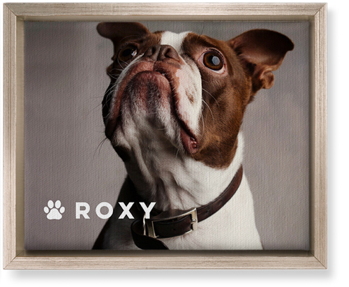 Portrait of a Pet Wall Art, Metallic, Single piece, Canvas, 8x10, White, white