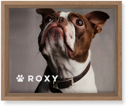 Portrait of a Pet Wall Art, Natural, Single piece, Canvas, 8x10, White