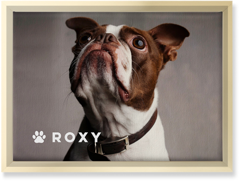 Portrait of a Pet Wall Art, Gold, Single piece, Canvas, 10x14, White