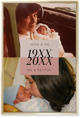 Then and Now Wall Art, Gold, Single piece, Canvas, 20x30, Pink, desert rose