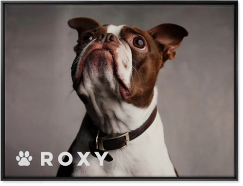 Portrait of a Pet Wall Art, Black, Single piece, Canvas, 30x40, White