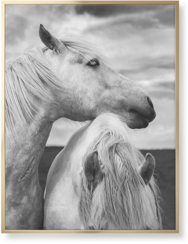 Black and White Horses Wall Art, Gold, Single piece, Canvas, 30x40, Multicolor