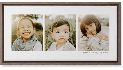 Three Of A Kind Wall Art, Walnut, Single piece, Canvas, 10x20, Multicolor