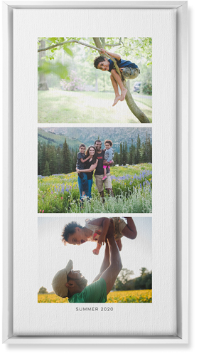 Three of a Kind Portrait Wall Art, White, Single piece, Canvas, 10x20, Multicolor, multi