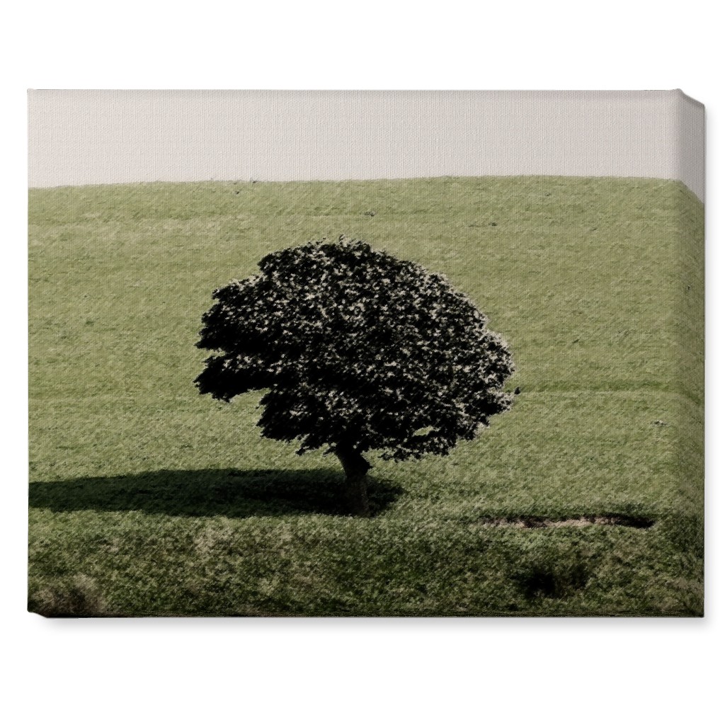 Cotton Wood Tree Wall Art, No Frame, Single piece, Canvas, 16x20, Green