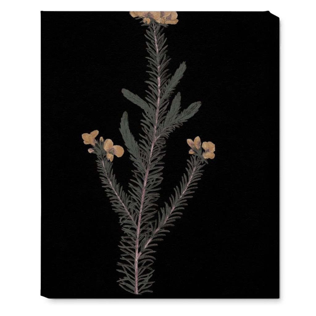 Midnight Botanical - Black and Green Wall Art, No Frame, Single piece, Canvas, 16x20, Black