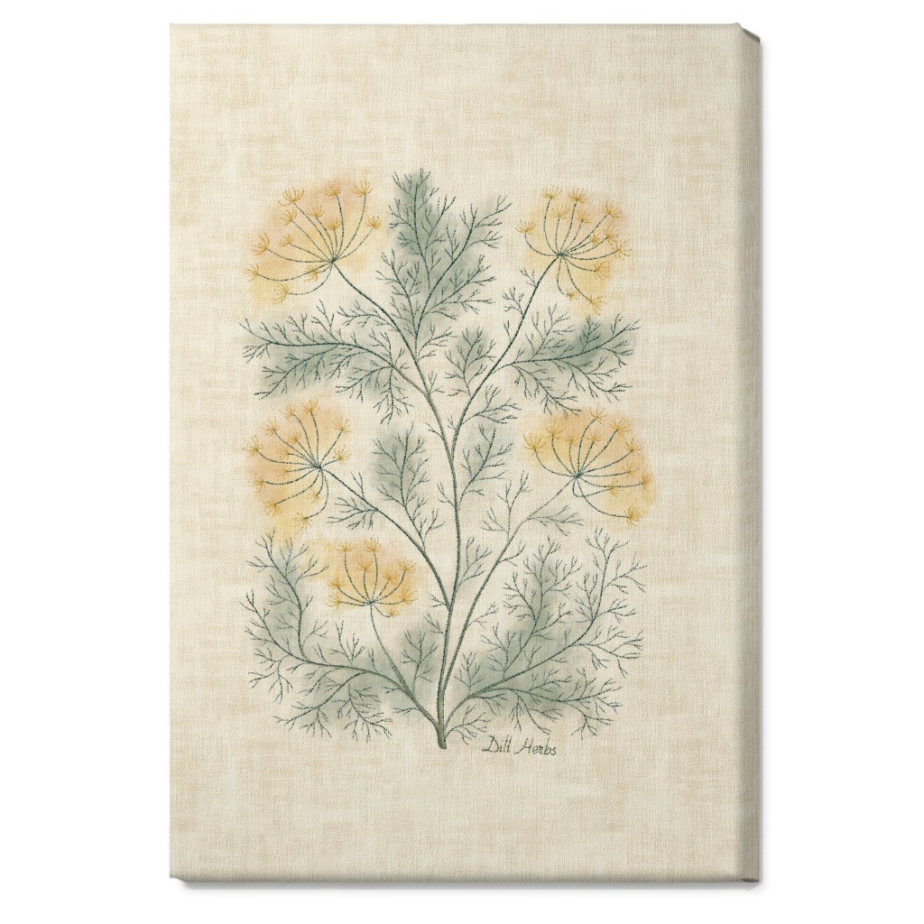 Dill Botanical Illustration Wall Art, No Frame, Single piece, Canvas, 20x30, Beige