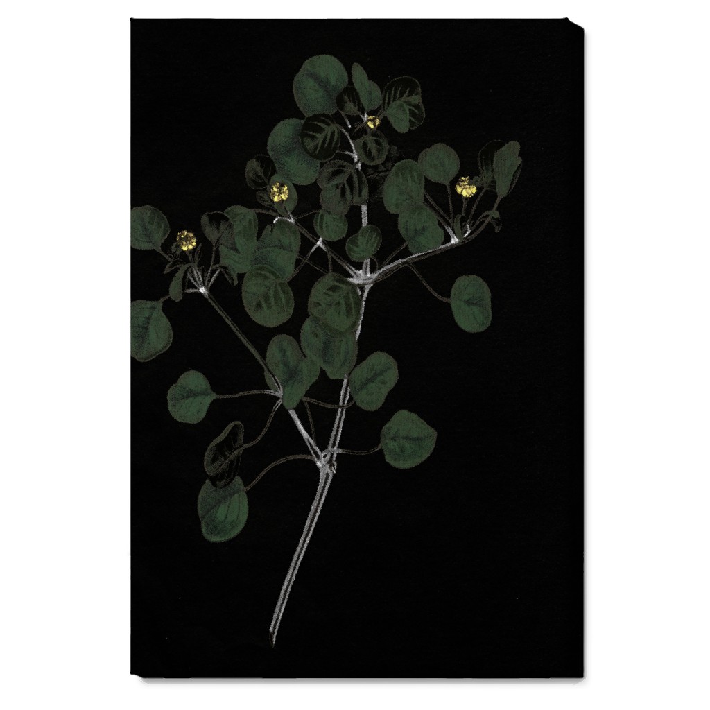 Midnight Botanical Sprig With Leaves - Black and Green Wall Art, No Frame, Single piece, Canvas, 20x30, Black, Black