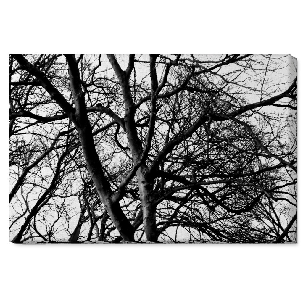 Tree Lace - Neutral Wall Art, No Frame, Single piece, Canvas, 20x30, Black, Black
