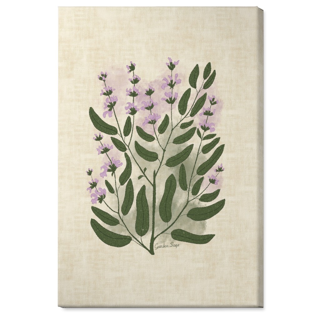 Garden Sage Botanical Illustration Wall Art, No Frame, Single piece, Canvas, 24x36, Beige