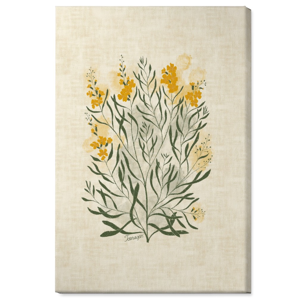 Tarragon - Botanical Illustration Wall Art, No Frame, Single piece, Canvas, 24x36, Beige