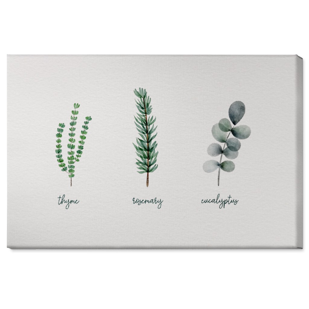 Watercolor Botanicals - Green Wall Art, No Frame, Single piece, Canvas, 24x36, Green, Classic Green