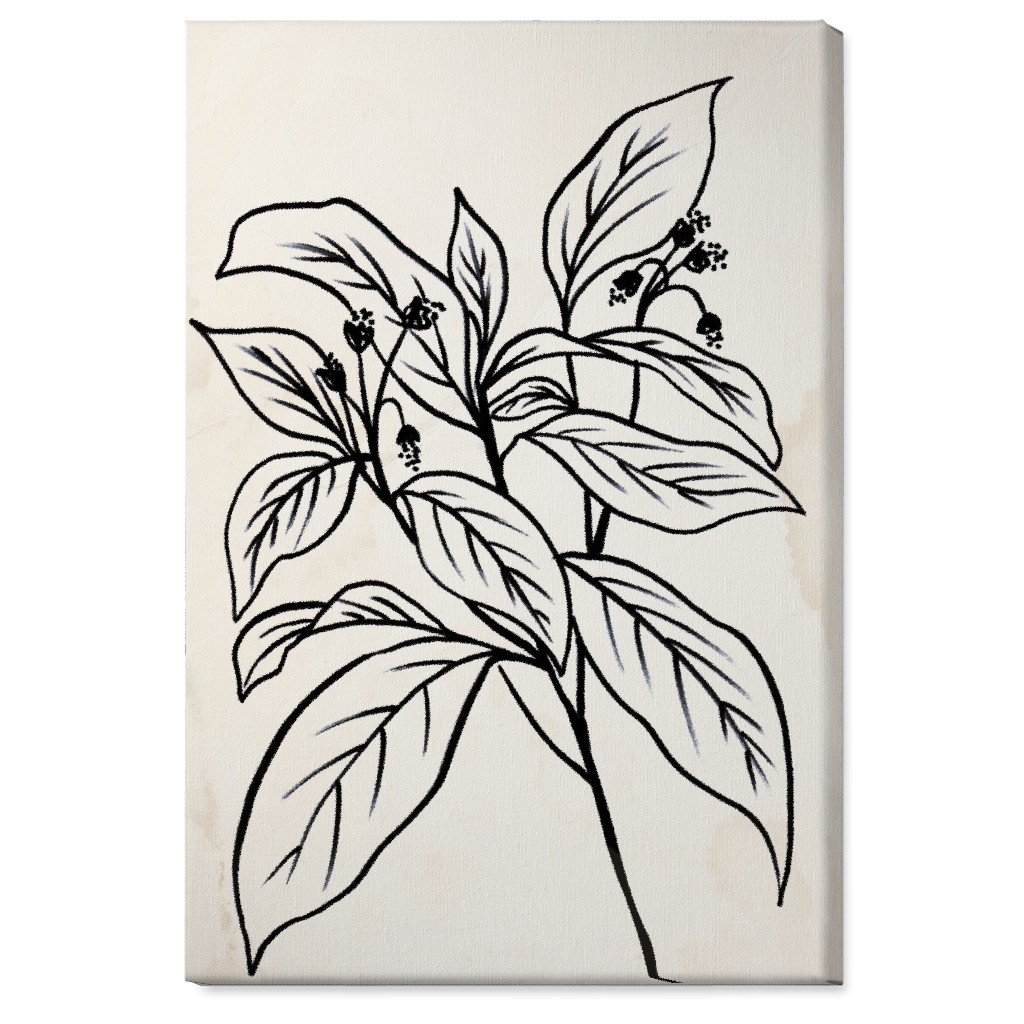 Vintage Branch Sketch - Beige and Black Wall Art, No Frame, Single piece, Canvas, 24x36, Beige, Pearl