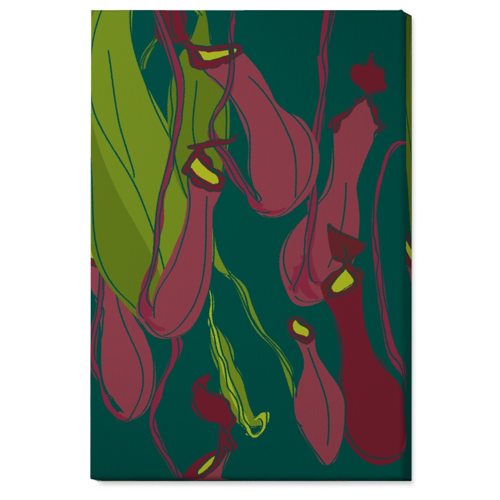 Hanging Nepenthes Carnivorous Pitcher Plants - Multi Wall Art, No Frame, Single piece, Canvas, 24x36, Green
