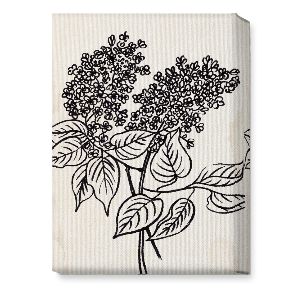 Vintage Lilac Sketch - Beige and Black Wall Art, No Frame, Single piece, Canvas, 10x14, Beige
