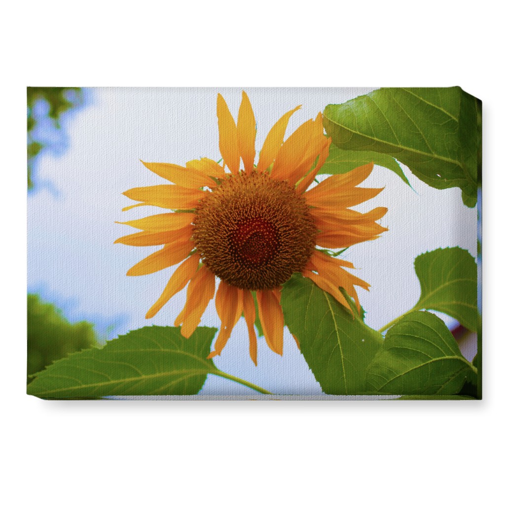 Sunny Sunflower - Yellow Wall Art, No Frame, Single piece, Canvas, 10x14, Yellow