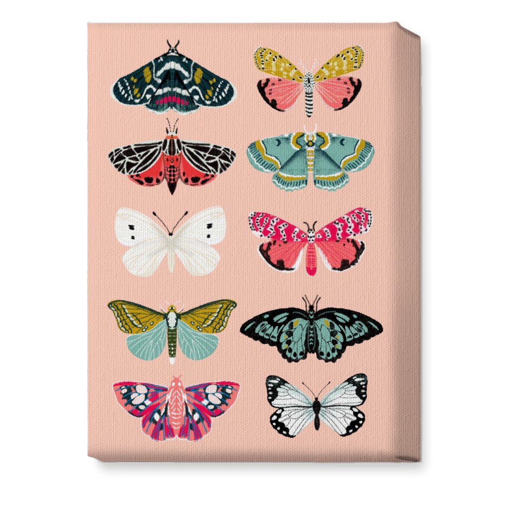 Moths & Butterflies Botanic Nature - Multi on Pink Wall Art, No Frame, Single piece, Canvas, 10x14, Multicolor
