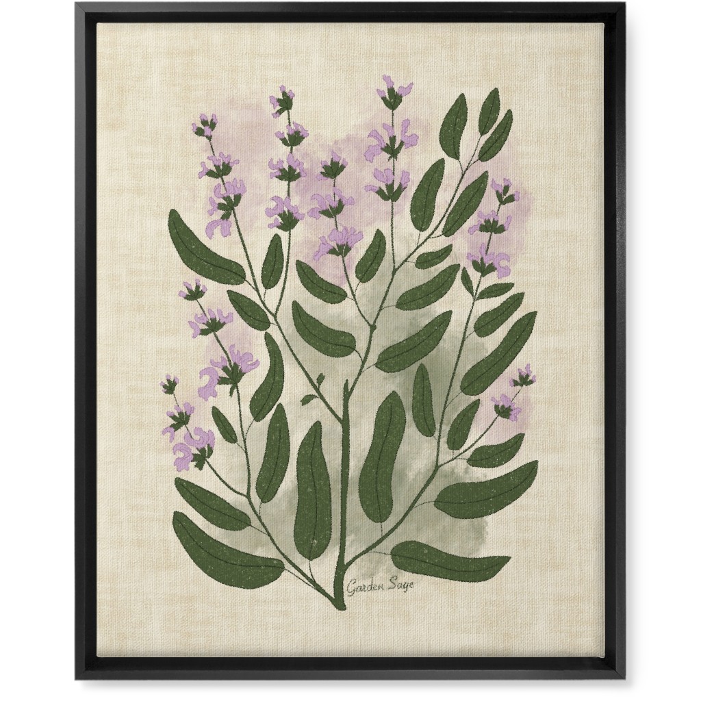 Garden Sage Botanical Illustration Wall Art, Black, Single piece, Canvas, 16x20, Beige
