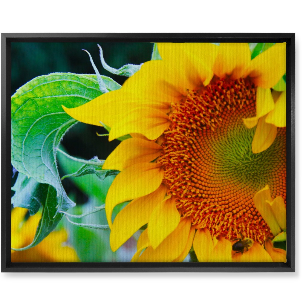 Big Sunflower - Yellow Wall Art, Black, Single piece, Canvas, 16x20, Yellow