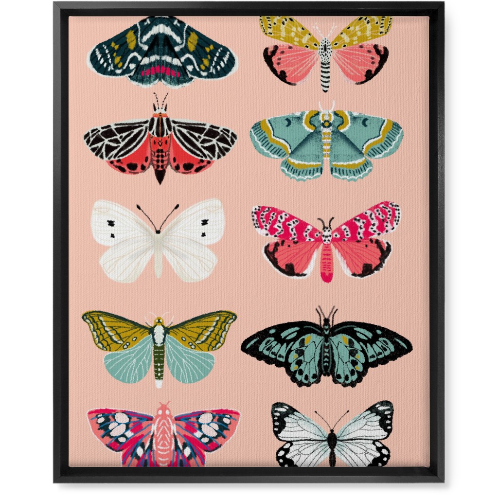 Moths & Butterflies Botanic Nature - Multi on Pink Wall Art, Black, Single piece, Canvas, 16x20, Multicolor