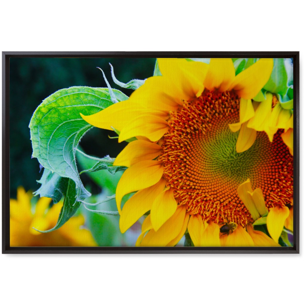 Big Sunflower - Yellow Wall Art, Black, Single piece, Canvas, 20x30, Yellow, Classic Yellow