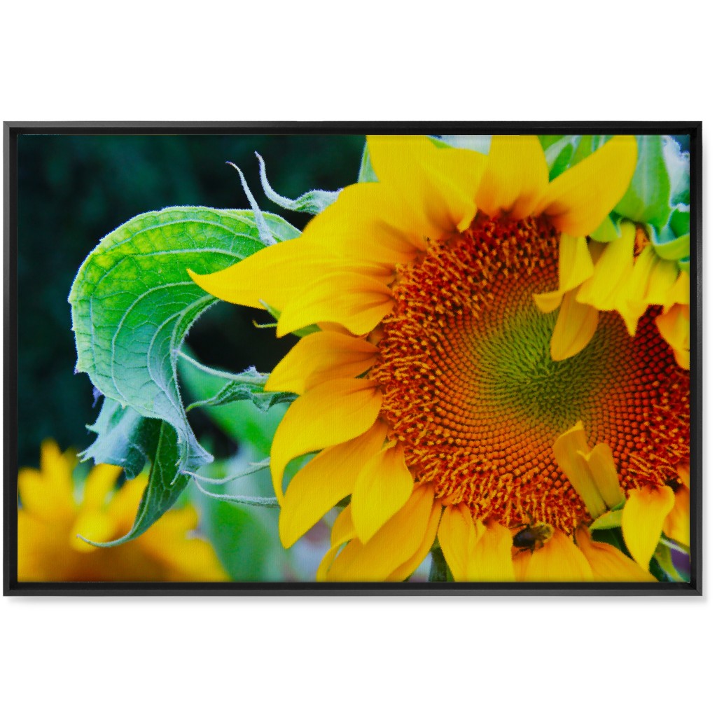 Big Sunflower - Yellow Wall Art, Black, Single piece, Canvas, 24x36, Yellow