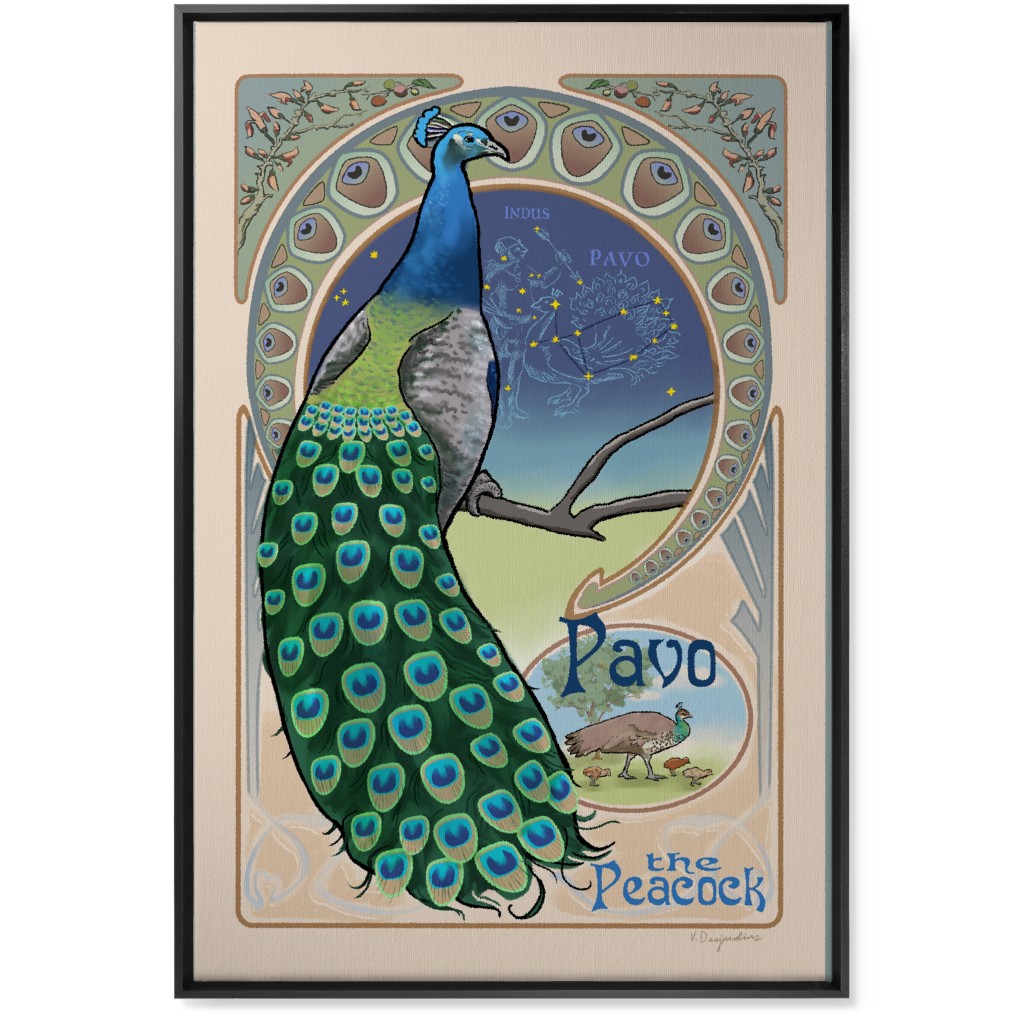Pavo the Peacock Wall Art, Black, Single piece, Canvas, 24x36, Multicolor