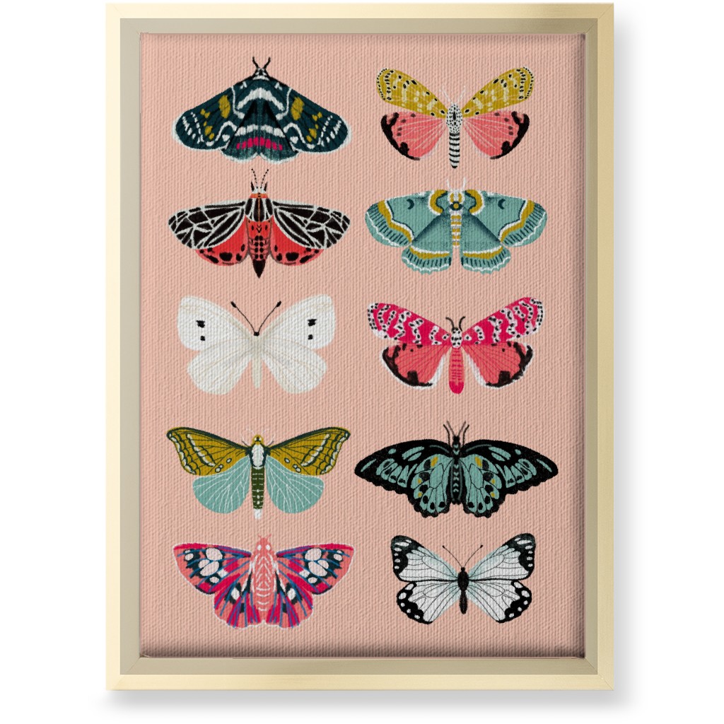 Moths & Butterflies Botanic Nature - Multi on Pink Wall Art, Gold, Single piece, Canvas, 10x14, Multicolor