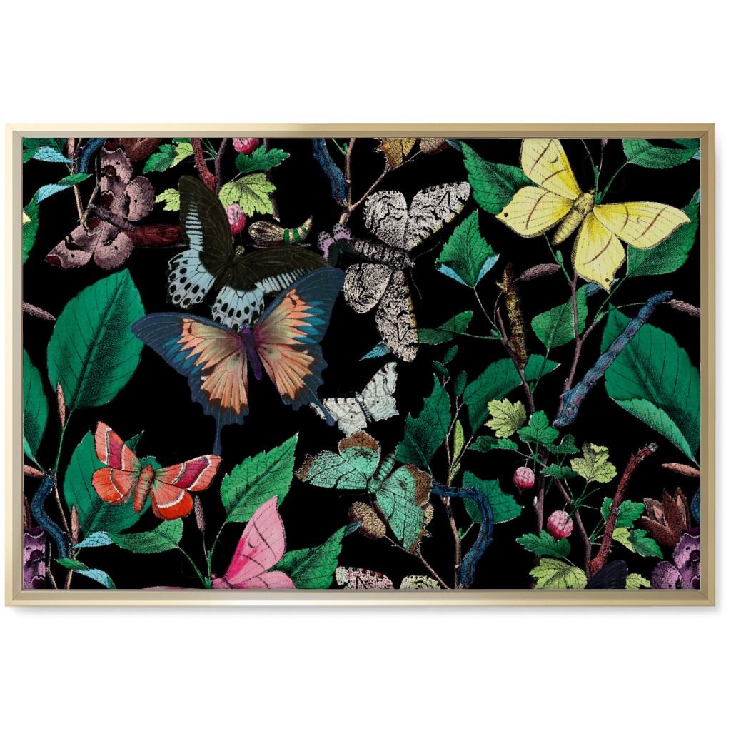 Butterfly Sanctuary - Bright on Black Wall Art, Gold, Single piece, Canvas, 20x30, Multicolor