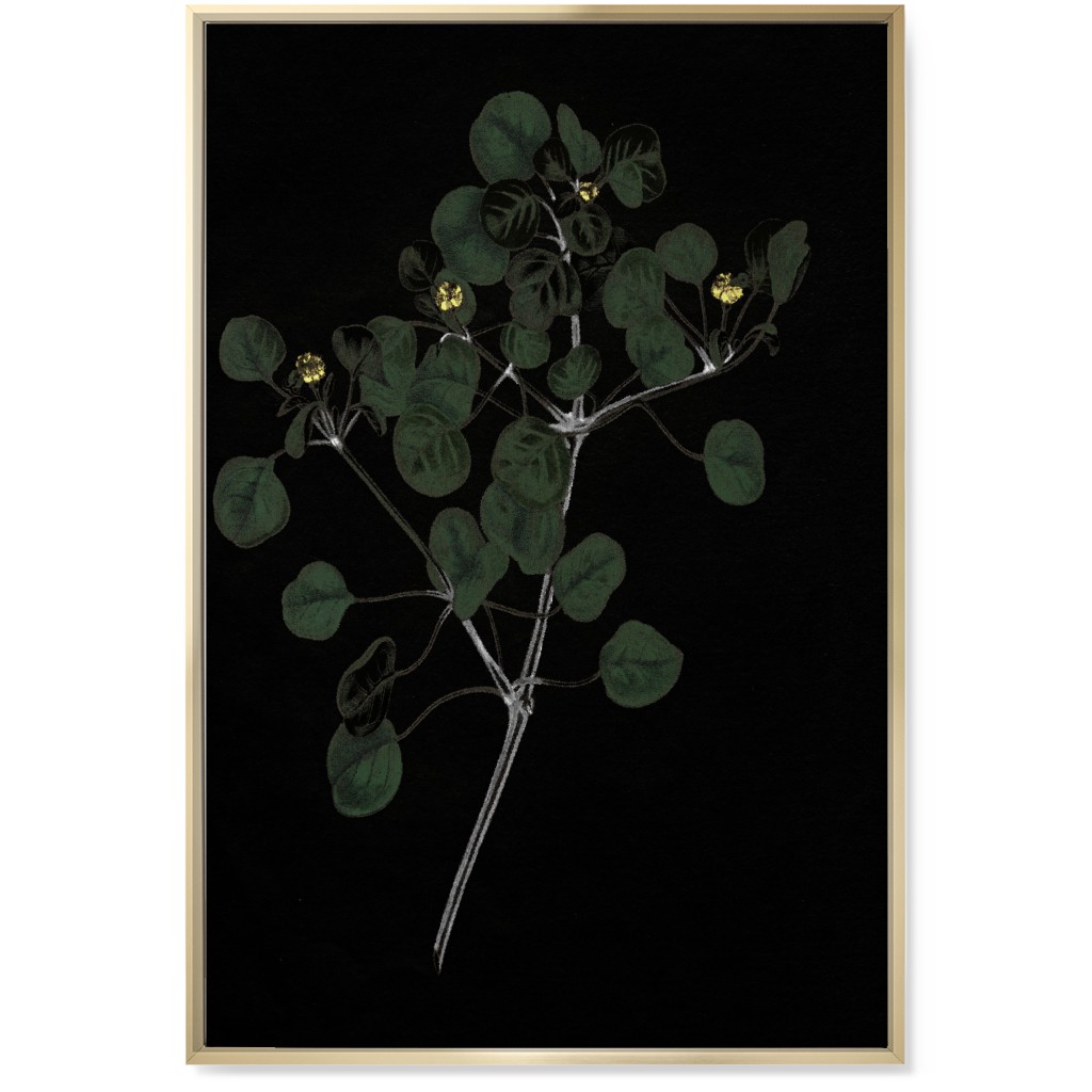 Midnight Botanical Sprig With Leaves - Black and Green Wall Art, Gold, Single piece, Canvas, 24x36, Black, Black